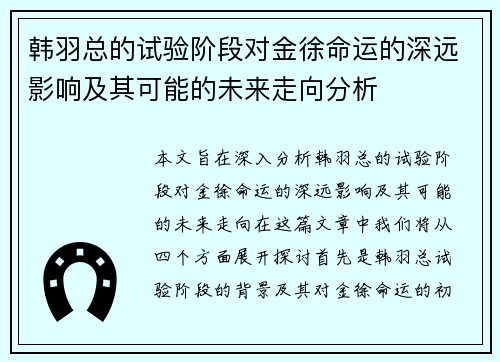 韩羽总的试验阶段对金徐命运的深远影响及其可能的未来走向分析