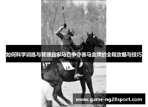 如何科学训练与管理自家马匹争夺赛马金牌的全程攻略与技巧